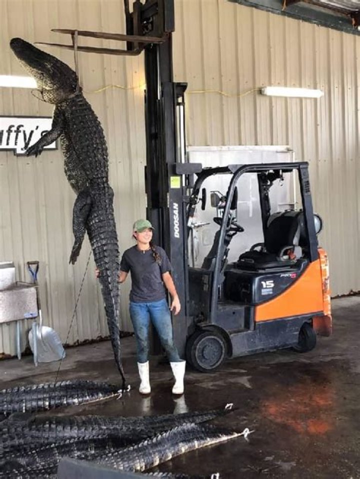 
Deadra Moore Height, Weight, Net Worth, Age, Birthday, Wikipedia, Who, Nationality, Biography 