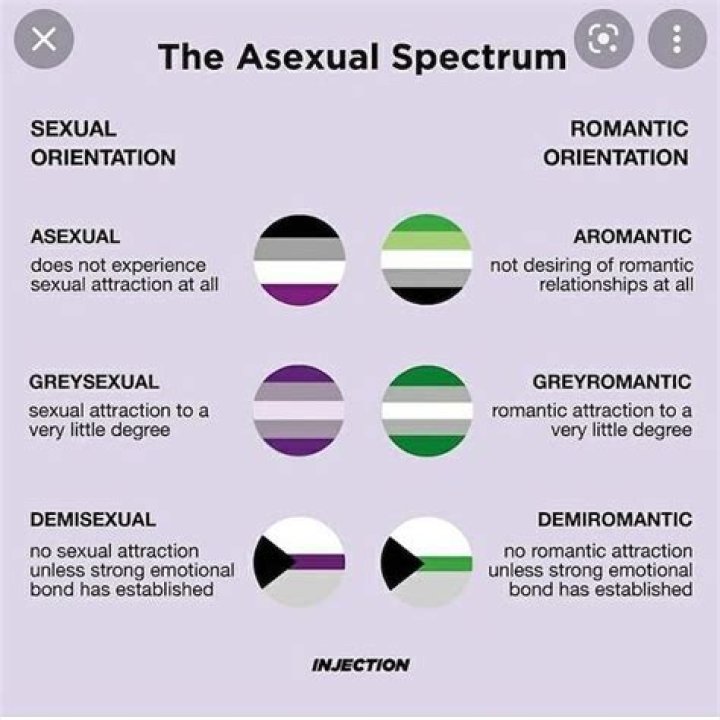 
Jaiden Animations Sexuality and Pronouns, What Is Aroace Sexuality? 