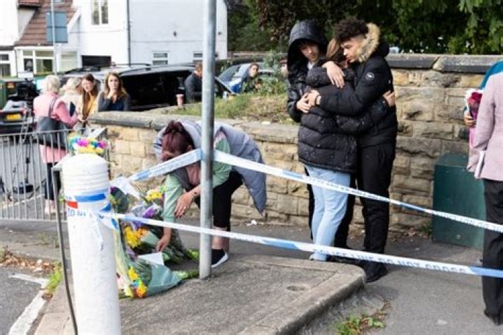 
Shyana James, 16, Girlfriend of Teenage boy, was fatally Stabbed to death Outside School 