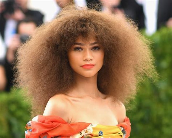 
Zendaya Ethnicity, Real Name, and Nationality 